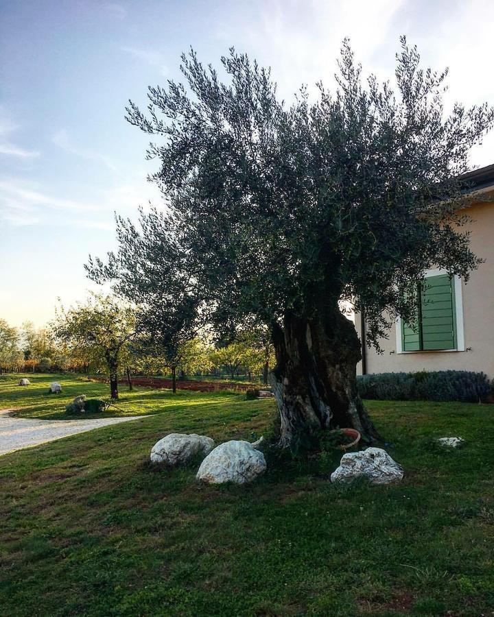 Villa Agriturismo Di Charme Erbadoro à Alvito Extérieur photo